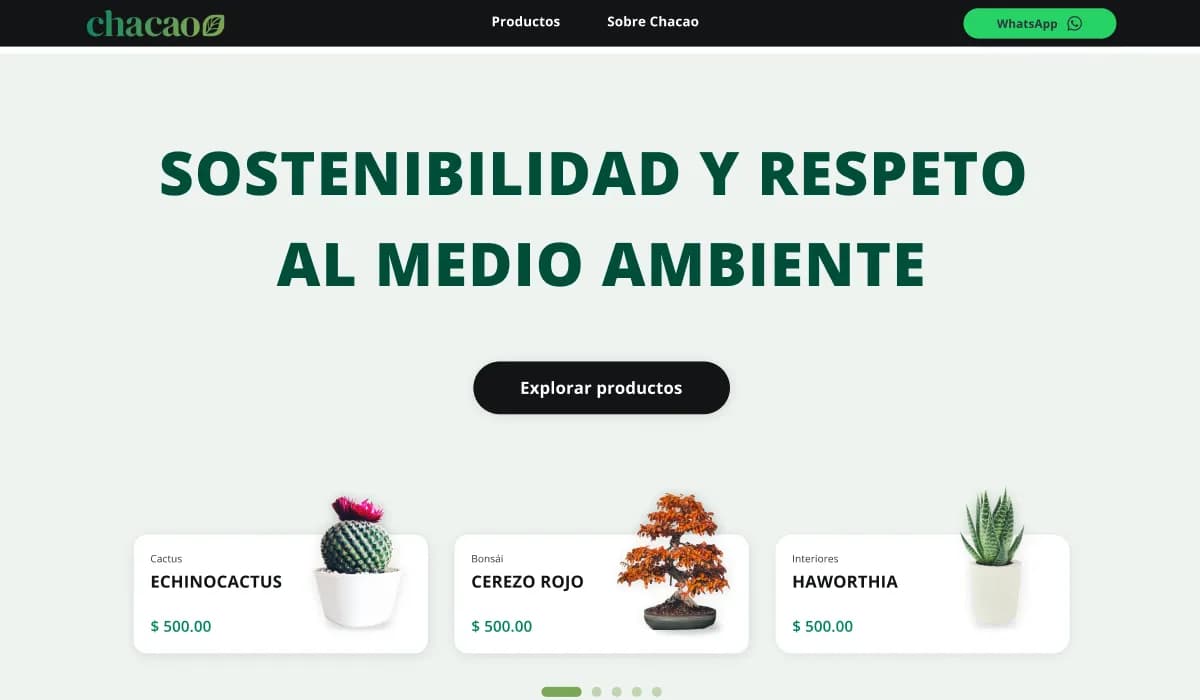 Vista del proyecto E-Commerce Chacao México